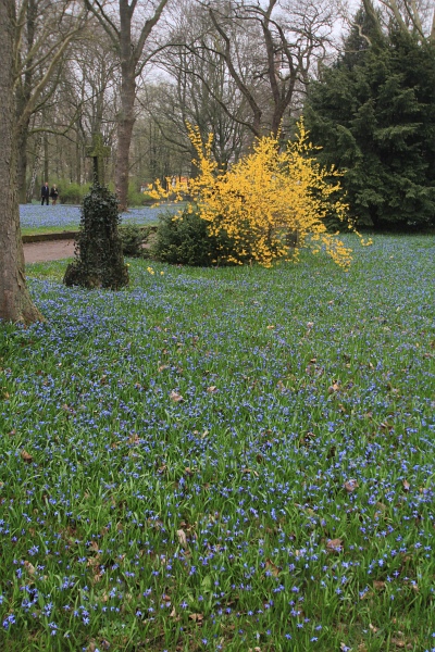 Fruehling   096.jpg